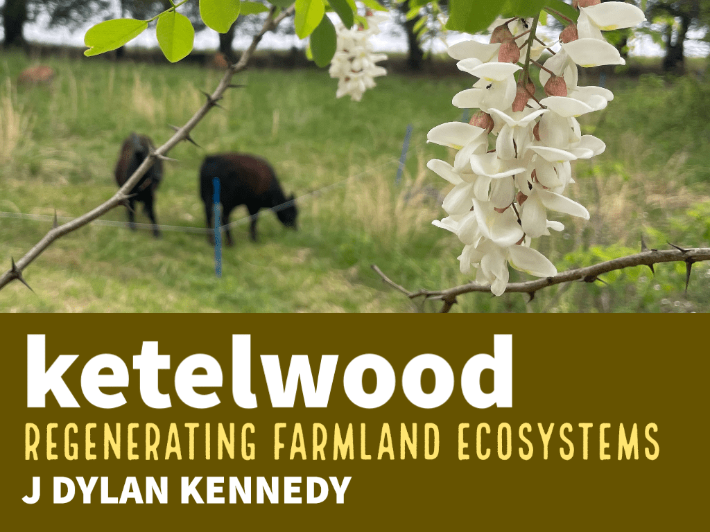 A center for Holistic Management, Holistic Planned Grazing, and Regenerative Agriculture in Kentucky. Savory Institute, 