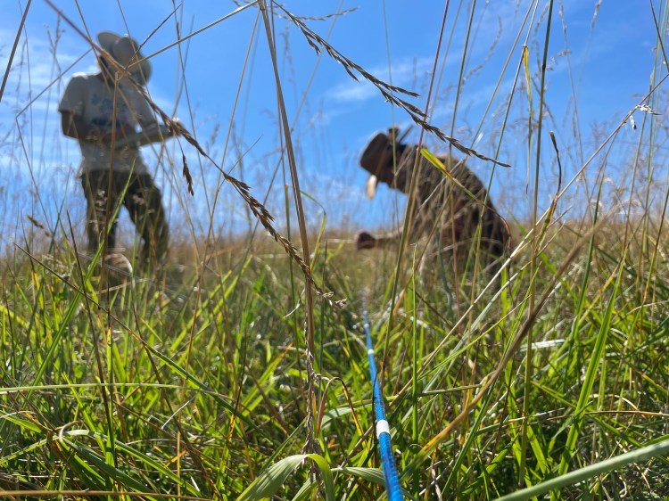 Ecologic Outcome Verification Monitoring (EOV) is a tool for land managers to track their ecosystem function and ecosystem health.  Part of the Holistic Management suite, EOV verifies the regenerative effects of Holistic Planned Grazing. Ketelwood offers EOV services in Kentucky and across Appalachia.