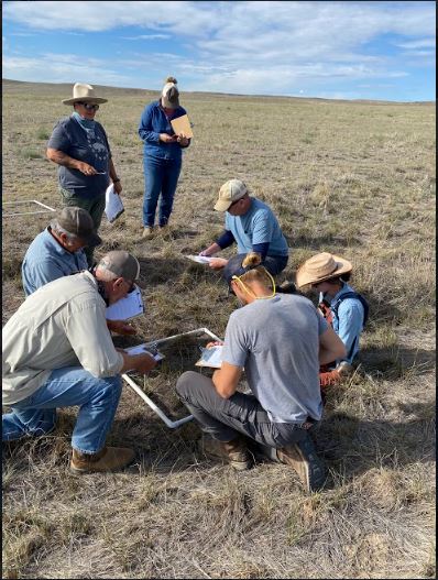Holistic Management is a comprehensive decision making platform for communities and land managers. We offer courses and individualized trainings in Holistic Management and Holistic Planned Grazing in Kentucky and across Appalachia. 