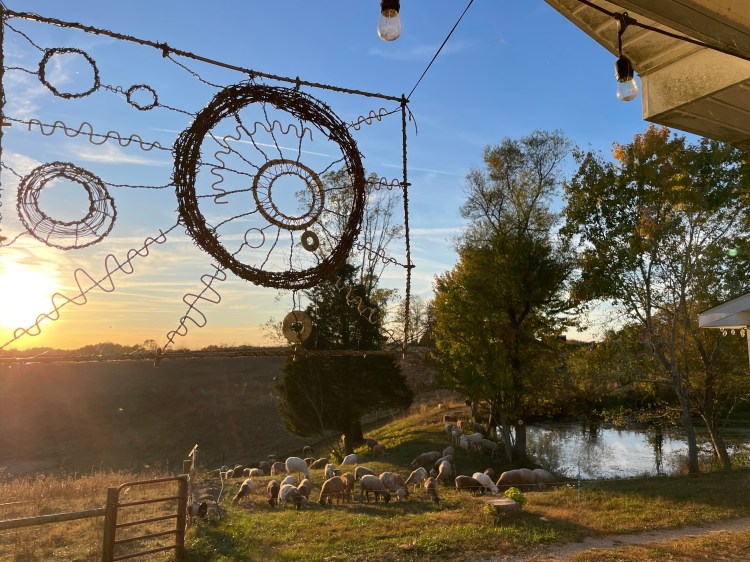 Ketelwood is a based on a kentucky farm practicing and teaching Regenerative Agriculture, Permaculture, and Holistic Management. Our multispecies herd (flerd) is managed using Holistic Planned Grazing.